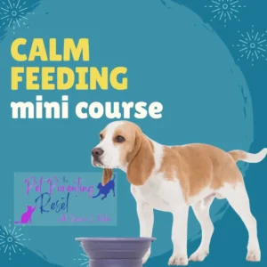31012816 1669947621PkRCalm Feeding mini course