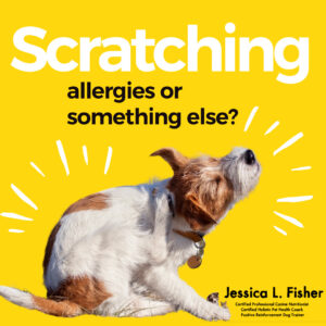 is your dogs scratching allergies or something else