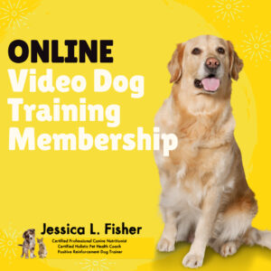 best online dog training