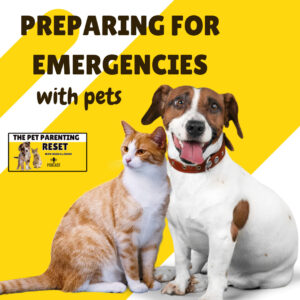 preparing for emergencies with pets
