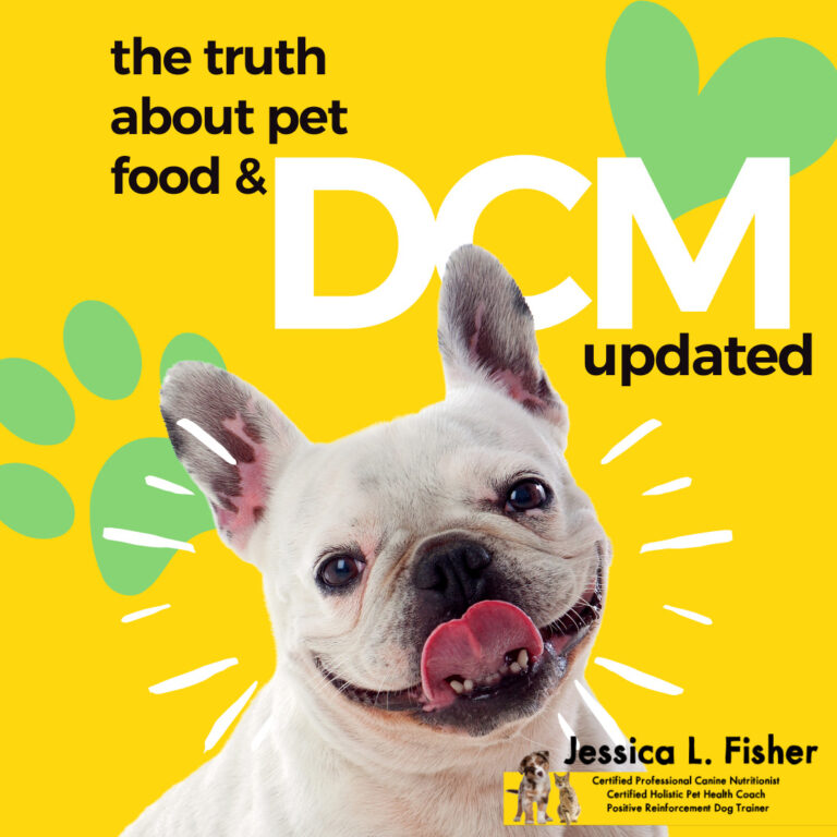the truth about DCM in dogs