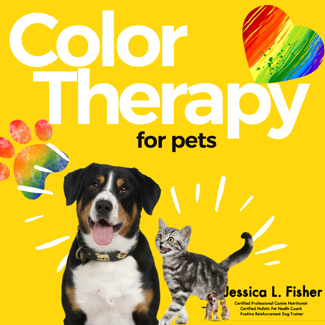 color therapy for pets
