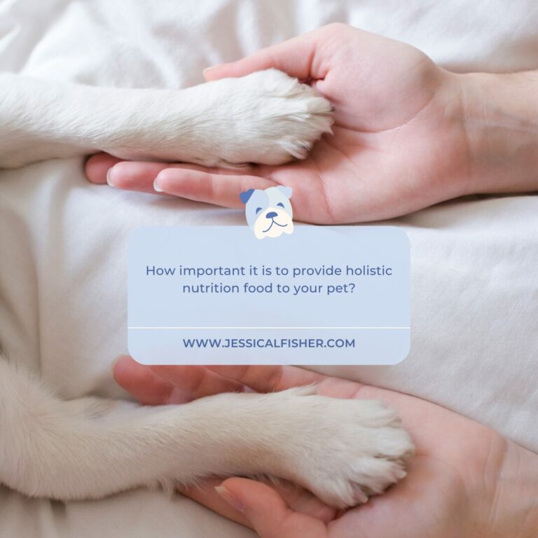 holistic pet nutrition