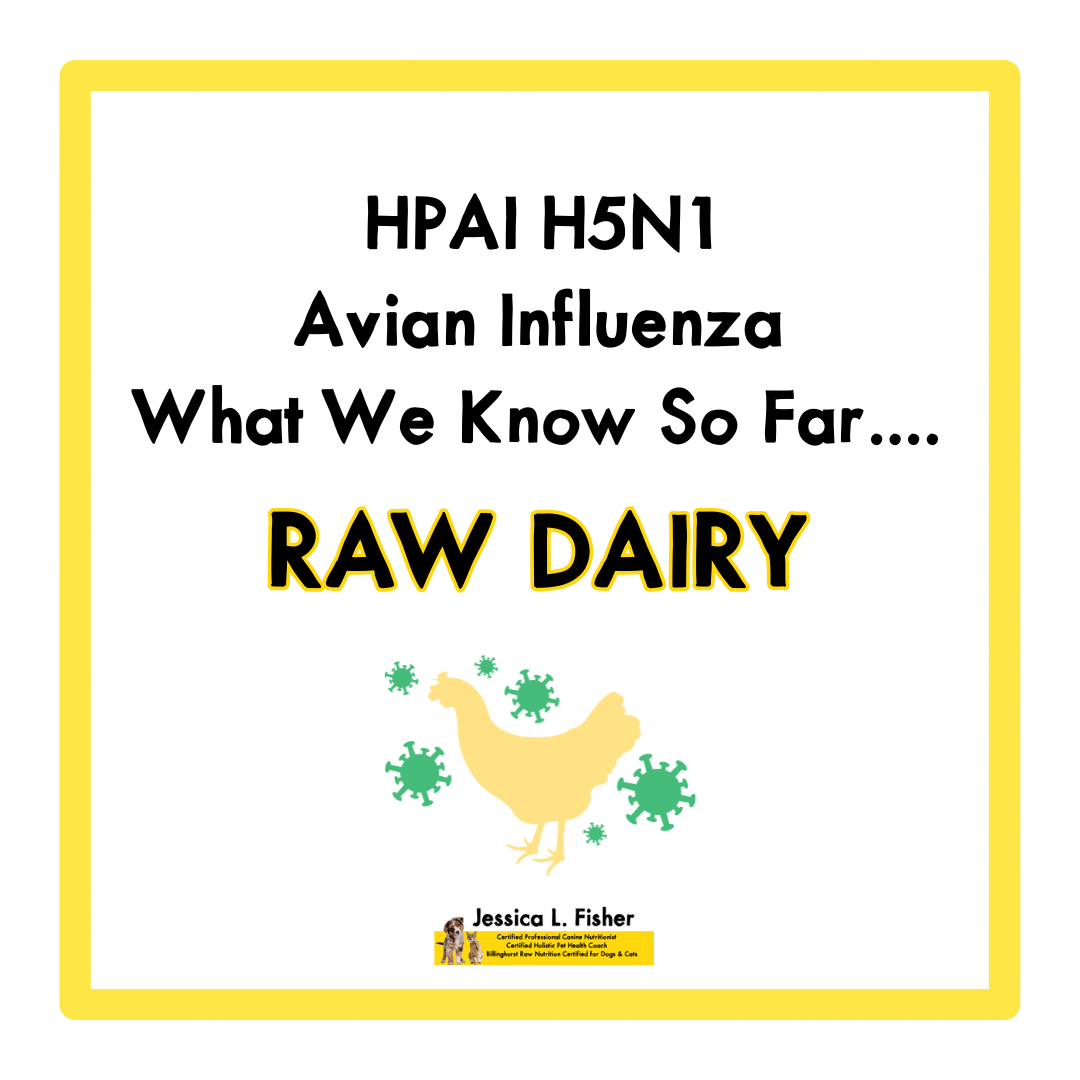 Bird Flu What You Need To Know About Raw Dairy