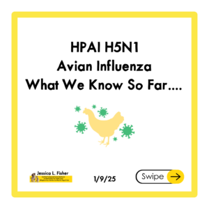 H5N1 Avian Influenza, Bird Flu, Raw Pet Food