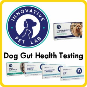 Dog Gut Health Testing