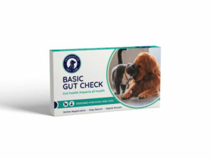 box design basic gut check 1024x768