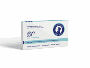 box innovative pet lab design leaky gut