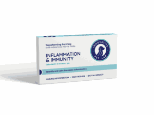 box innovative pet lab inflamation immunity