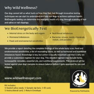 Wild Wellness bioenergetic sensitivity test kit for dogs back