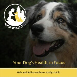 Wild Wellness bioenergetic sensitivity test kit for dogs